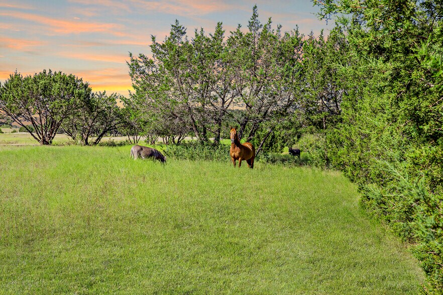 More Photos Of 3676 FM2657, Kempner Specialty For Sale