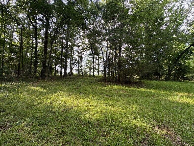 More Photos Of 4091 Hollonville Rd, Williamson Land For Sale