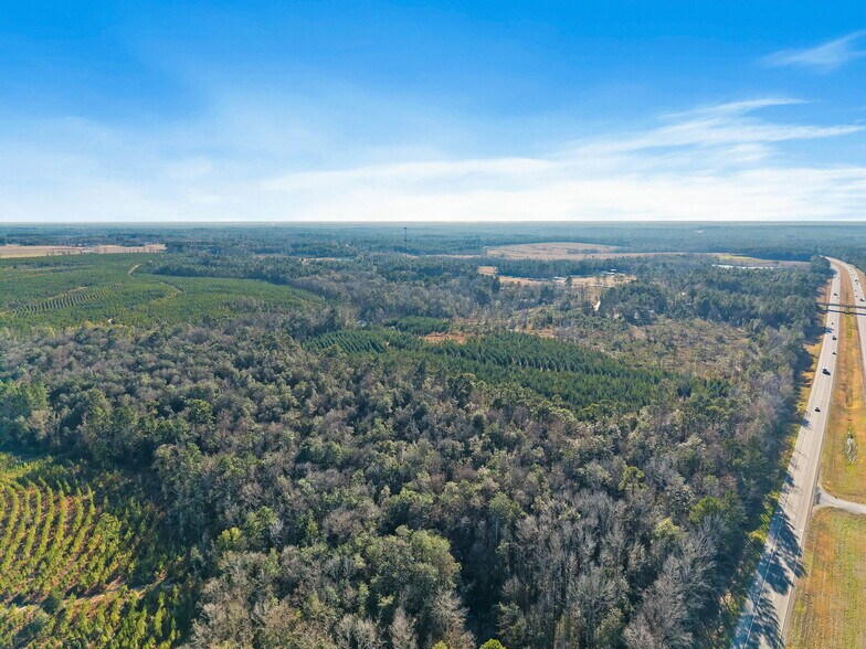 More Photos Of 55750 Lottie Rd, Perdido Land For Sale