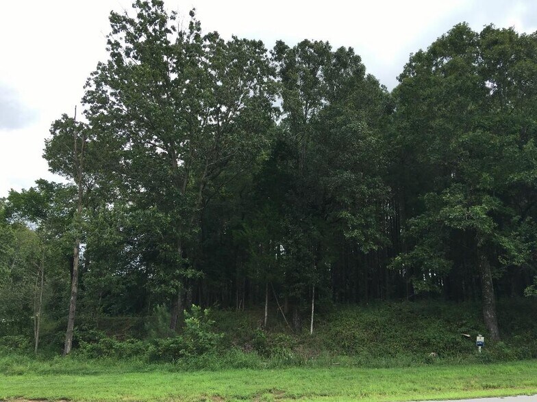 Primary Photo Of Parrish Ridge Ln, Goreville Land For Sale