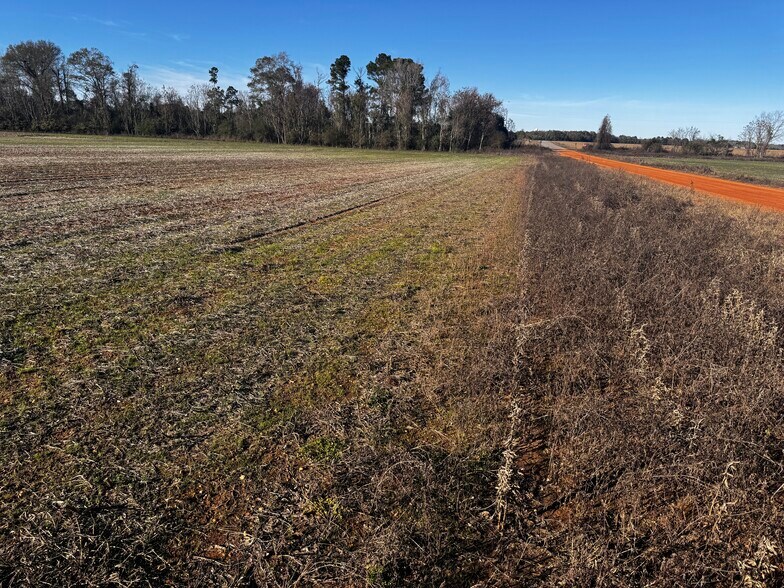 More Photos Of 0 Wiggins Road, Frisco City Land For Sale