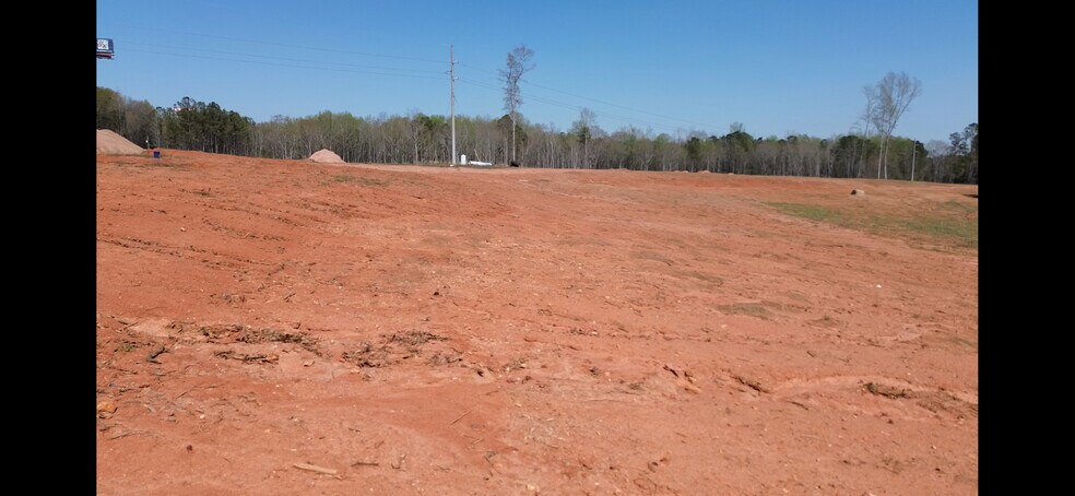 More Photos Of 1550 Uniroyal rd, Opelika Land For Sale