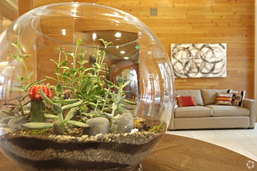 More Photos Of 2240-2250 NW Lovejoy St, Portland Apartments For Lease