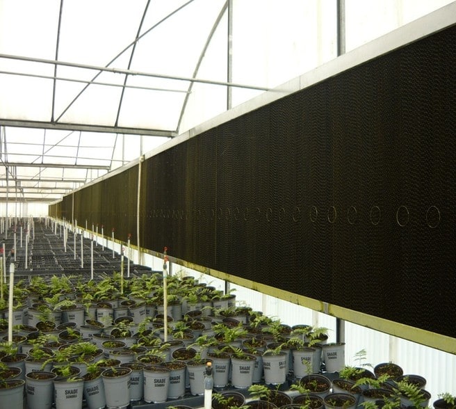 More Photos Of 4103 Ondich Rd, Apopka Specialty For Sale