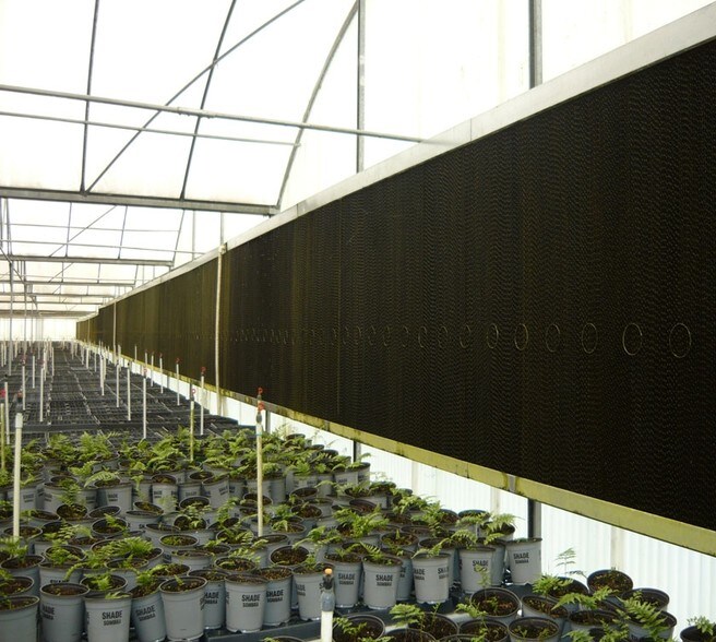 More Photos Of 4103 Ondich Rd, Apopka Specialty For Lease