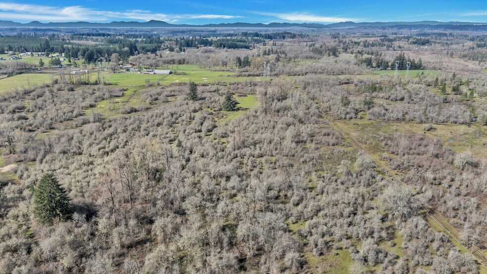 More Photos Of 35377 Ede Rd, Lebanon Land For Sale