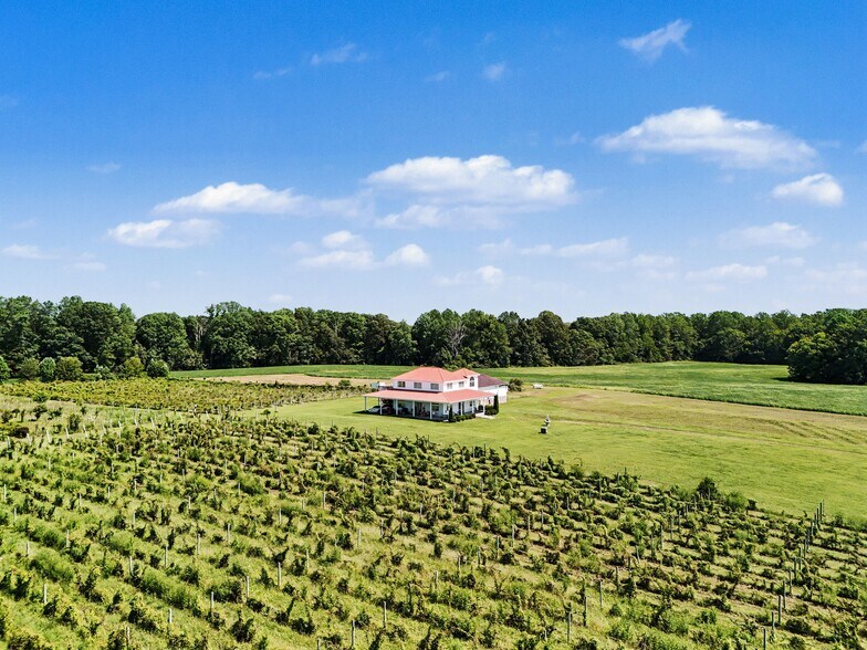 More Photos Of 495 Meadow Landing Ln, Caret Winery Vineyard For Sale