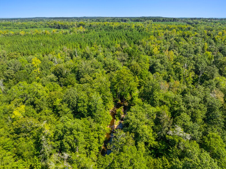 More Photos Of 7471 Highway 155, Saline Land For Sale