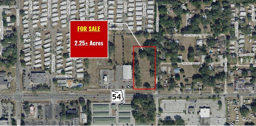 Primary Photo Of State Road 54 & Seaberg Rd, Zephyrhills Land For Sale