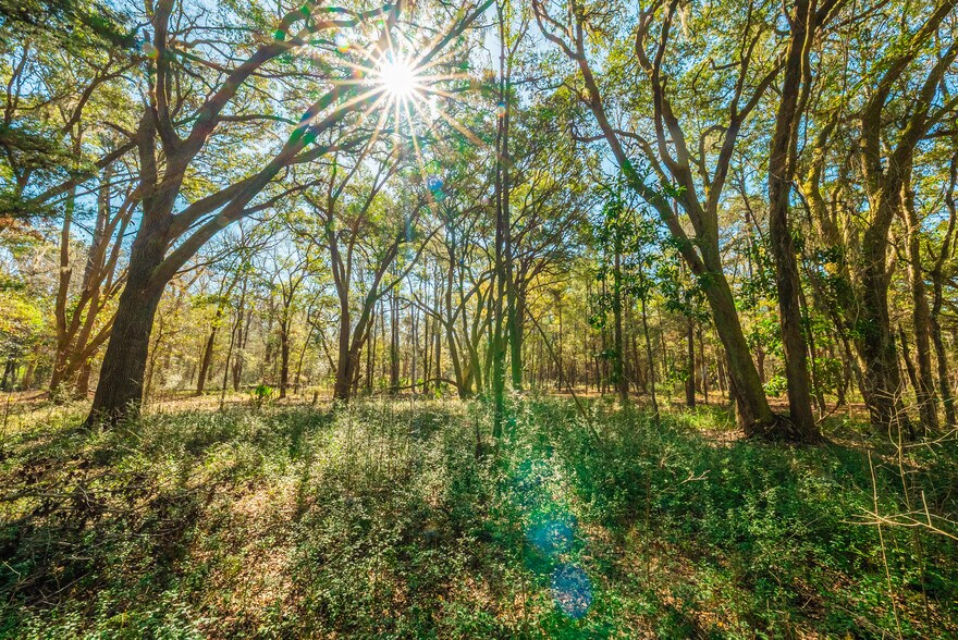More Photos Of 0 King Rail Lane, Edisto Island Land For Sale