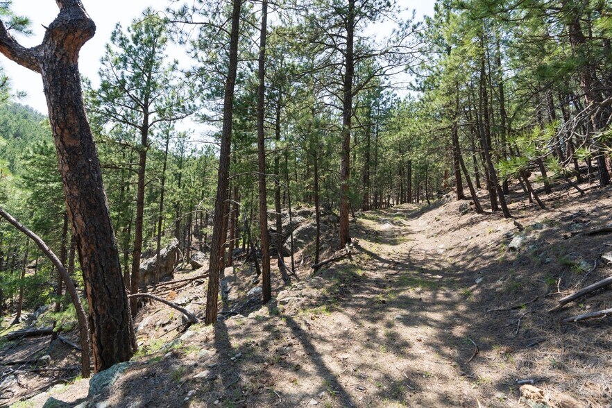 More Photos Of 1201A Old Hill City Rd, Keystone Land For Sale