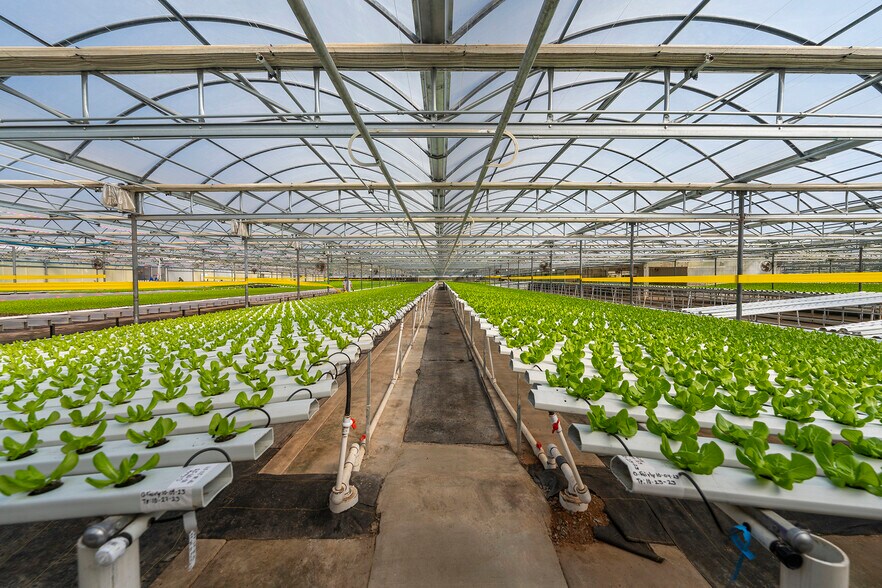 More Photos Of 2075 N Twin Oaks Valley Rd, San Marcos Garden Center For Lease