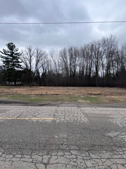 More Photos Of 338 Jackson, Coleman Land For Sale