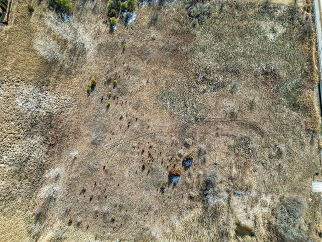 More Photos Of 16515 S La Grange, Orland Park Land For Sale