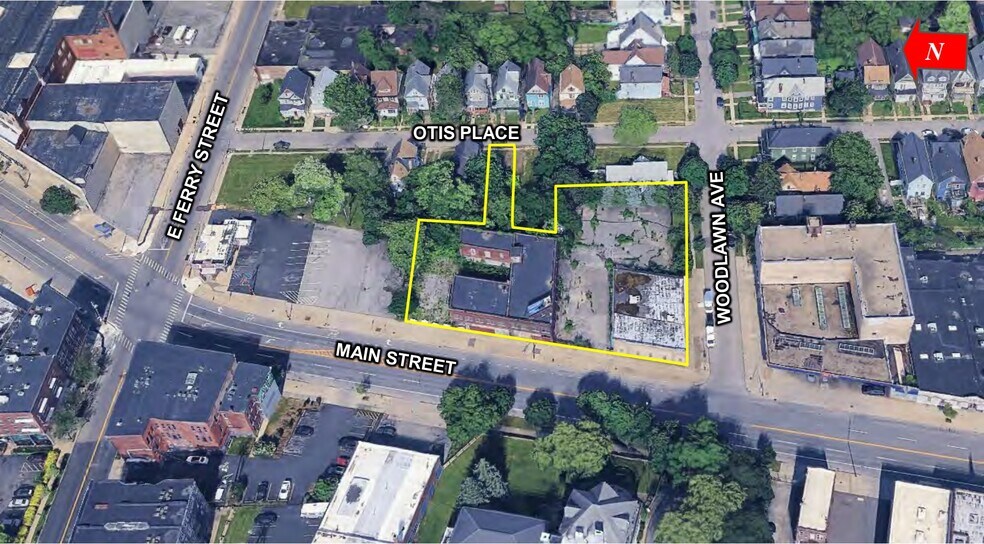 More Photos Of , Buffalo Unknown For Sale