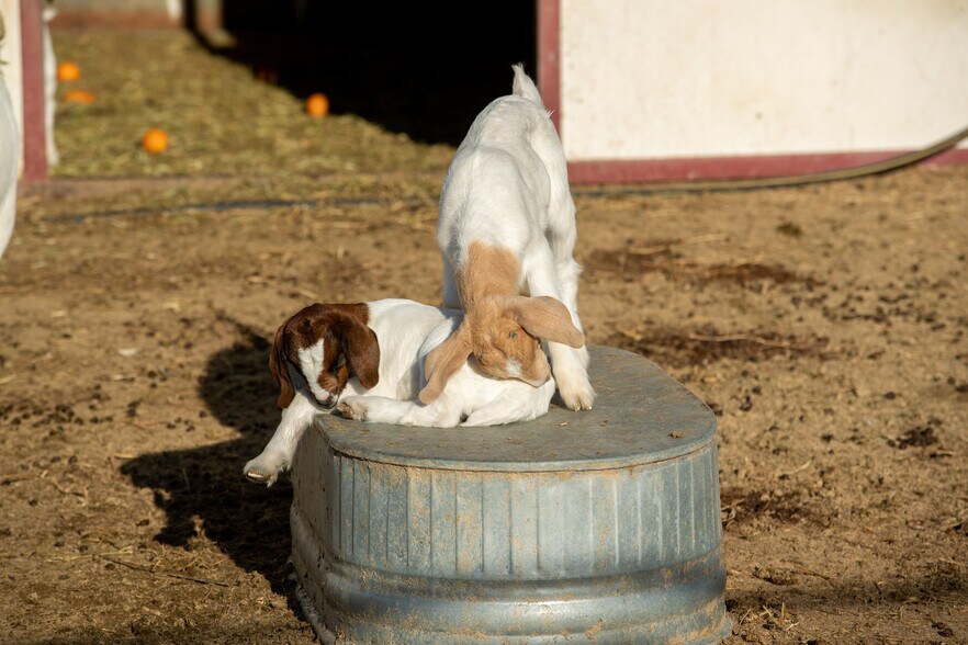 More Photos Of 15000 Middle Ranch Rd, Moorpark Land For Sale