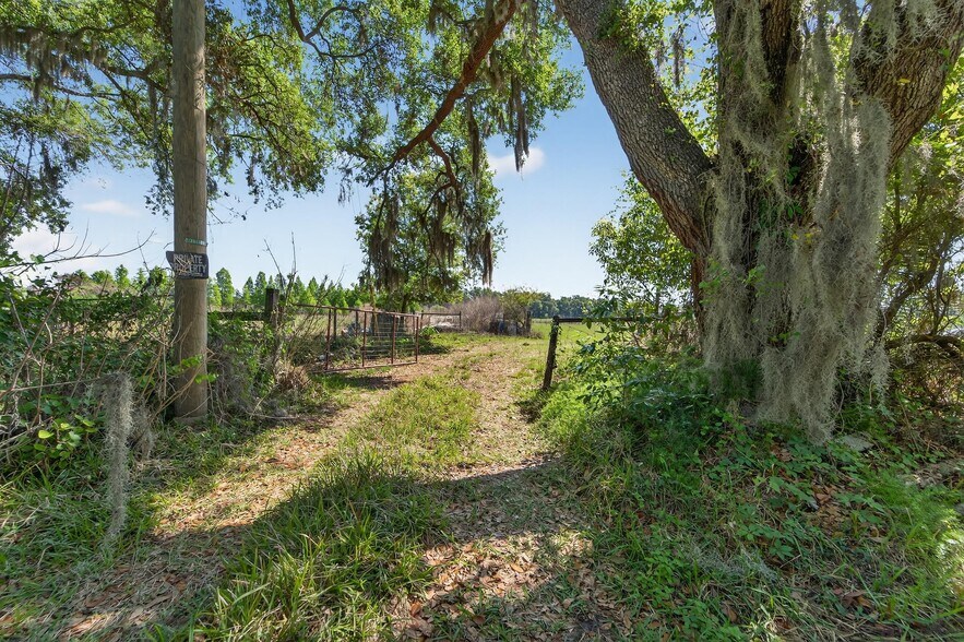 More Photos Of Carlton Rd, Plant City Land For Sale