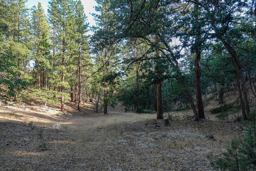 More Photos Of 0 East Rd, Fort Jones Land For Sale