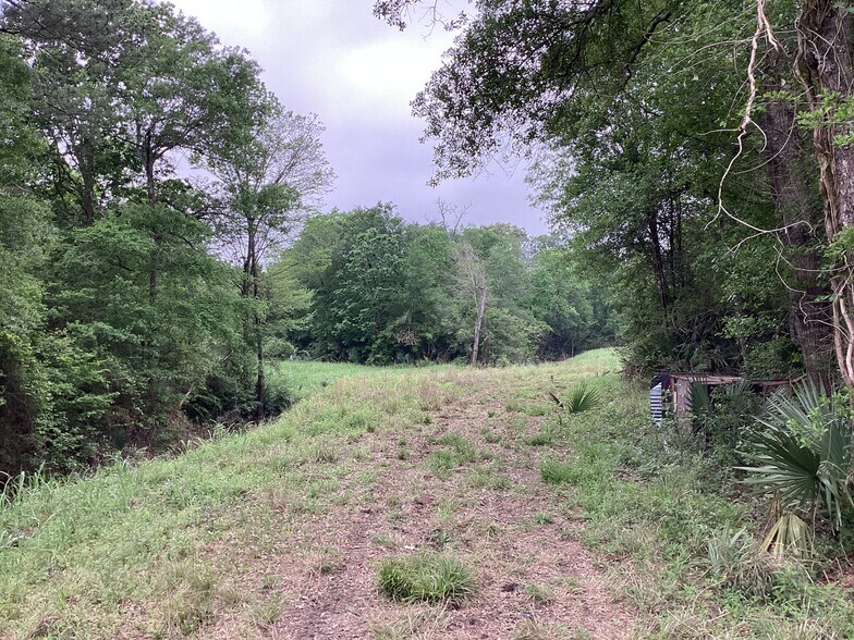 More Photos Of 0 County Road 4876, Dayton Land For Sale