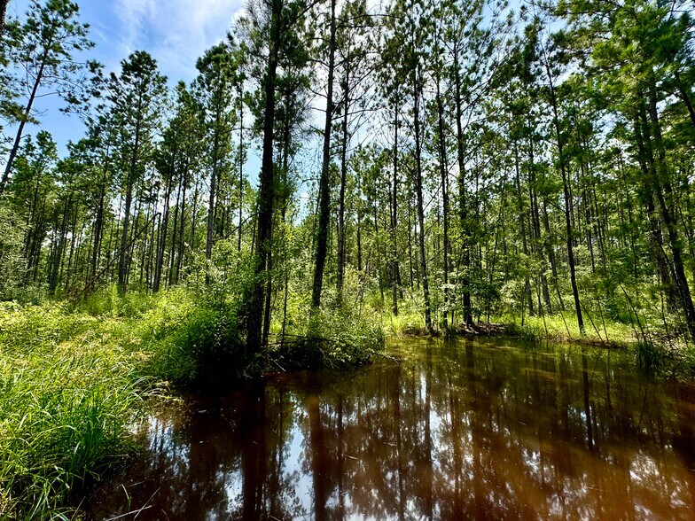 More Photos Of 0 Slim Palmer Road, Zavalla Land For Sale