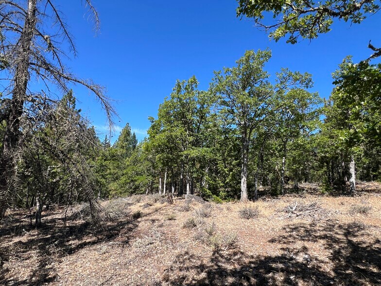 More Photos Of 407 Blue Spruce, Goldendale Land For Sale