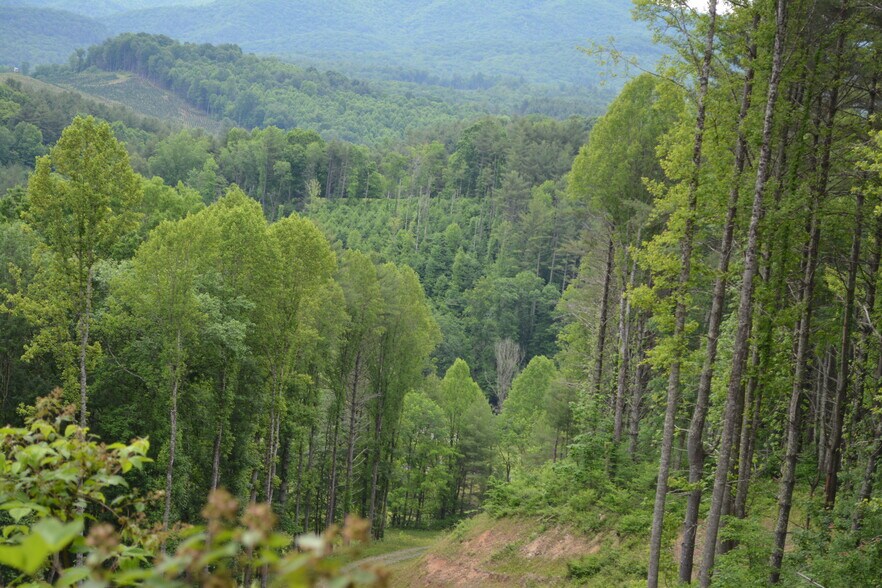 More Photos Of 6421 Highway 91 N, Laurel Bloomery Warehouse For Lease