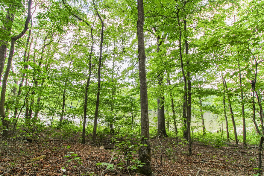 More Photos Of Powell Rd, Statham Land For Sale