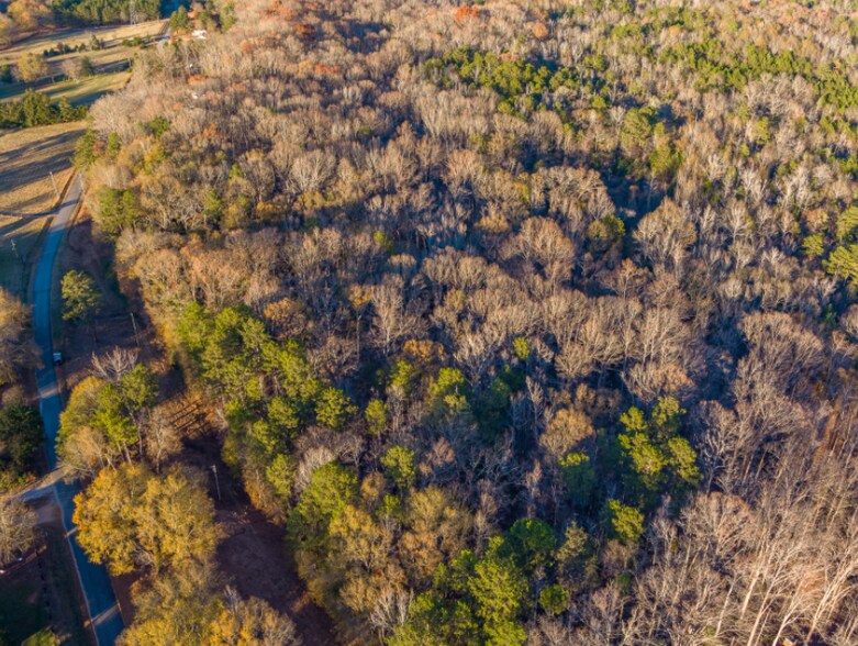 More Photos Of 0 Marshall Tucker Rd, Pauline Land For Sale