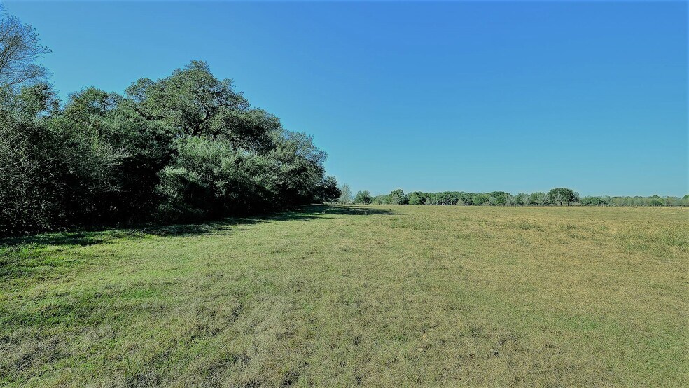 More Photos Of 26266 Fields Store Rd., Waller Land For Sale