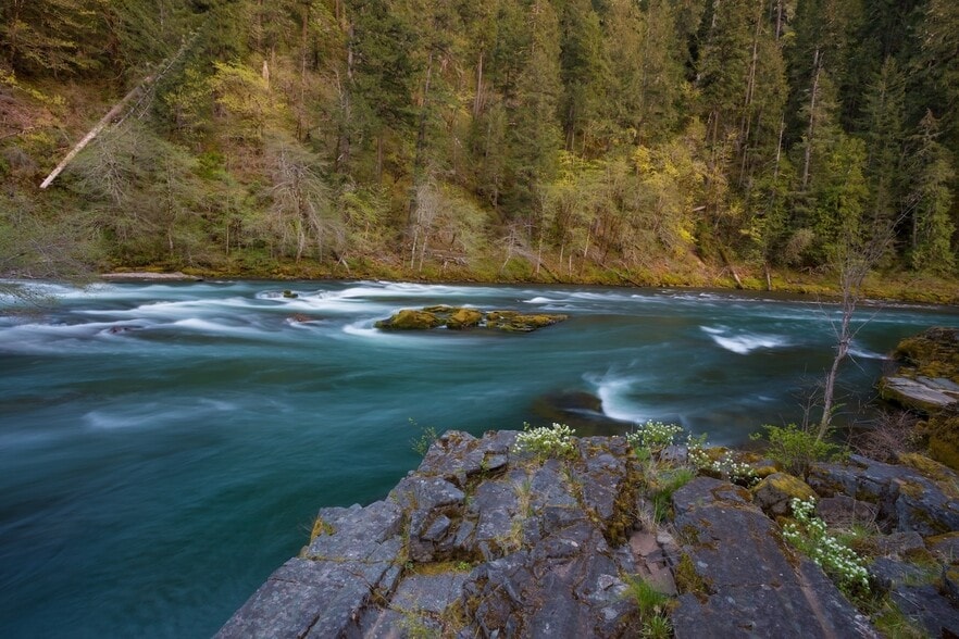 More Photos Of 42705 N Umpqua Hwy, Idleyld Park Hotel For Sale