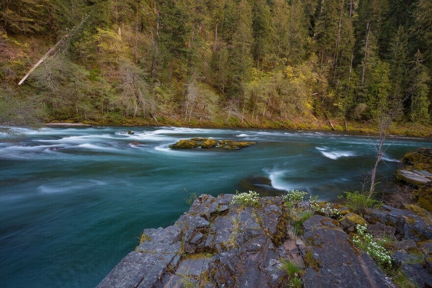 More Photos Of 42705 N Umpqua Hwy, Idleyld Park Hotel For Sale