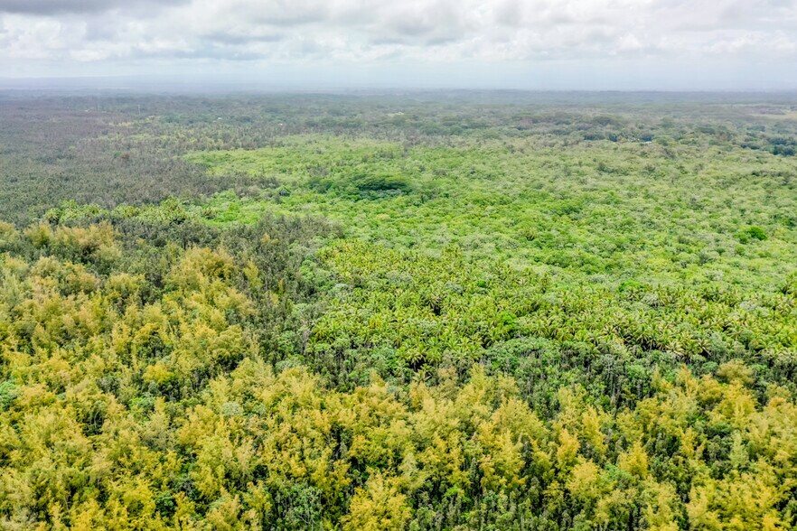 More Photos Of 0 Old Government Rd, Pahoa Land For Sale