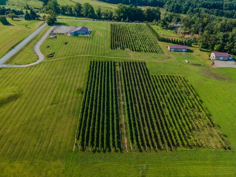More Photos Of 596 Harman Rd, Halifax Winery Vineyard For Sale