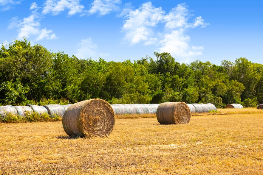 More Photos Of Tor Drive, Seguin Land For Sale