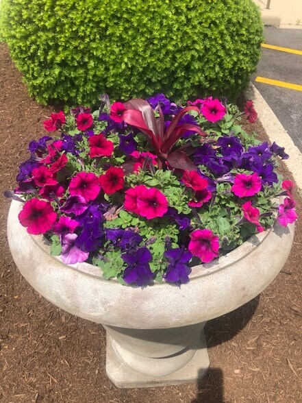 More Photos Of 255 E Lake St, Bloomingdale Office For Lease