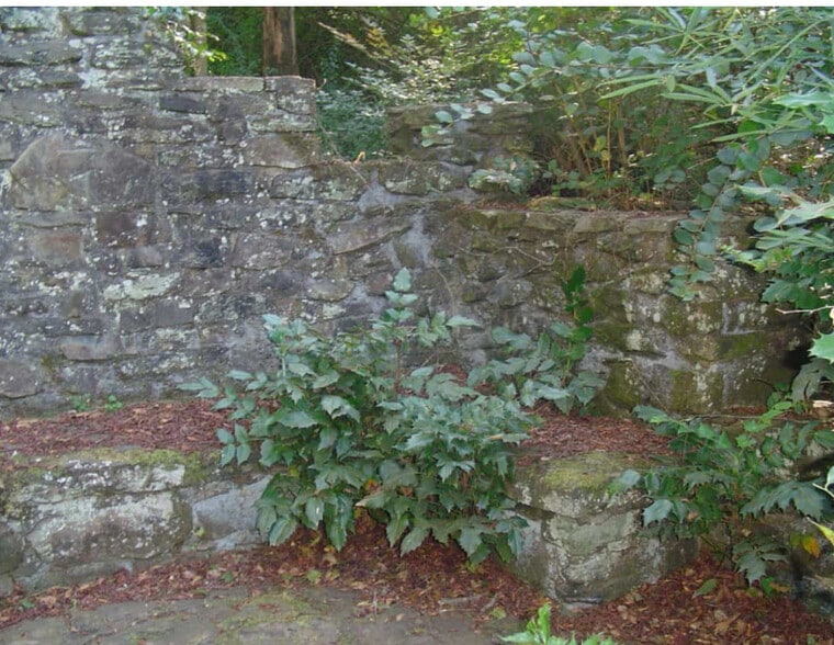 More Photos Of 236 County Road 503, Verbena Specialty For Sale