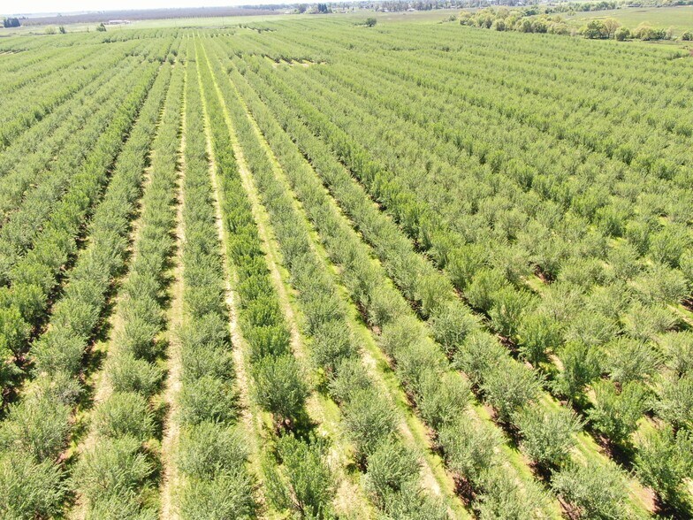 More Photos Of 0 Twin Cities rd, Herald Land For Sale