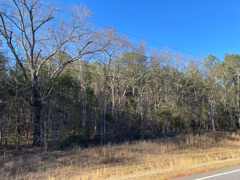 More Photos Of 0 S. Hwy 81, Covington Land For Sale