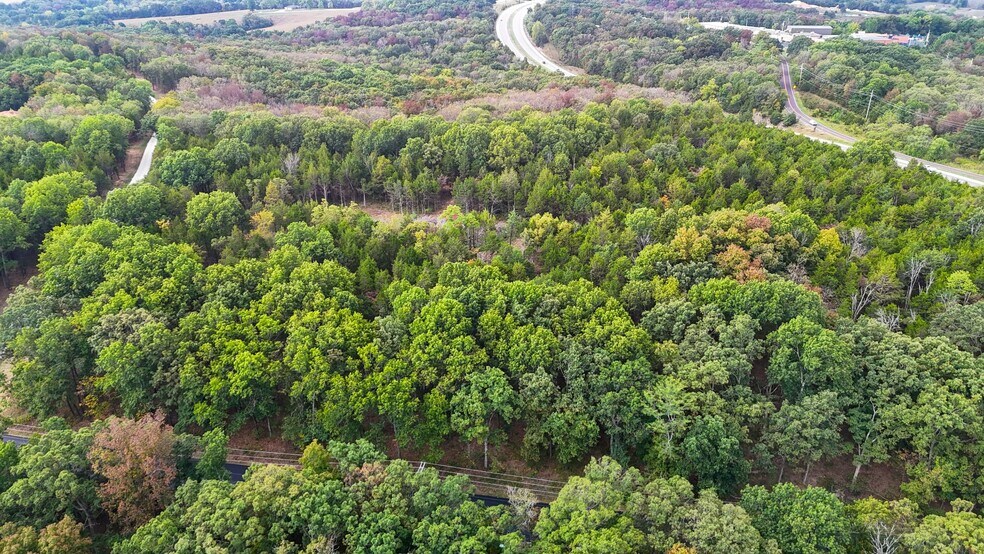 More Photos Of 0 Highway 67 Lee Pyle Rd, De Soto Land For Sale