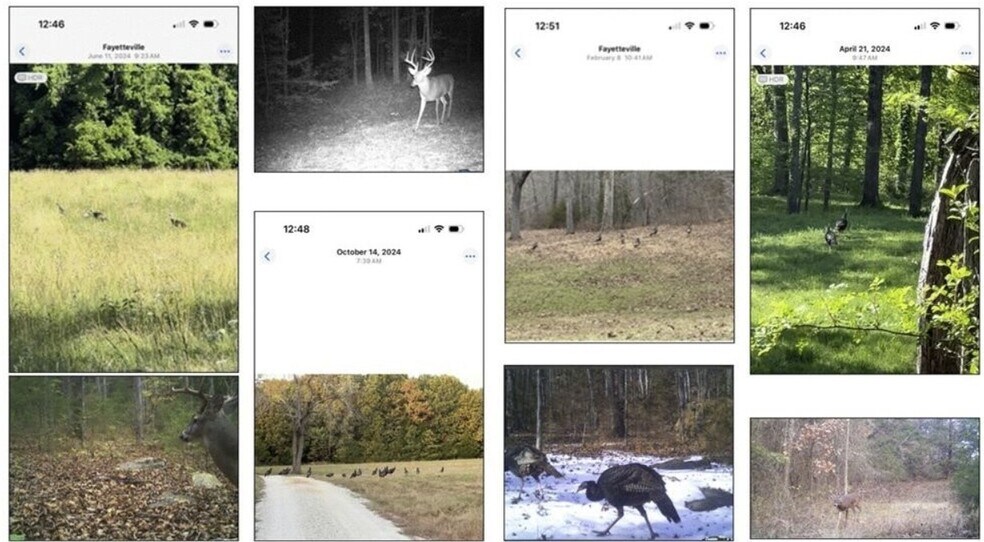 More Photos Of S. Smokey Bear Rd, Fayetteville Land For Sale