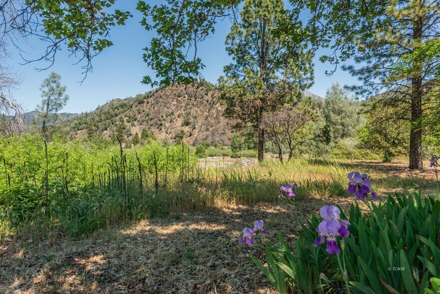More Photos Of 200 Dutch Creek Rd, Junction City Land For Sale