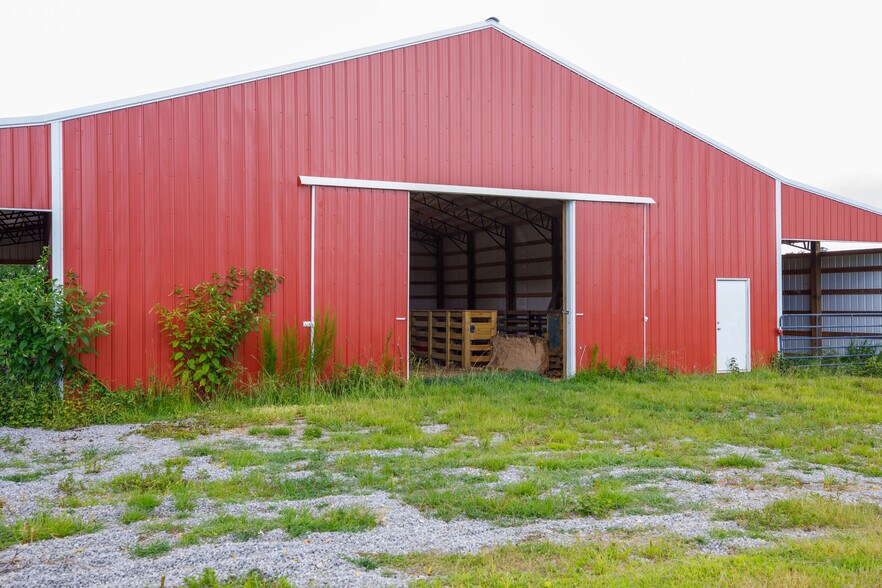 More Photos Of 3262 County Road 6, Hackleburg Land For Sale