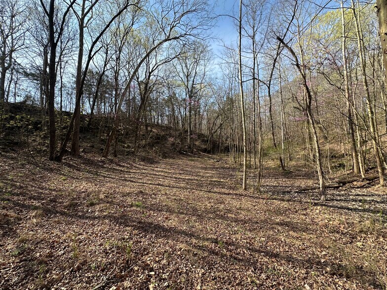 More Photos Of 7312 Highway 60, Georgetown Land For Sale