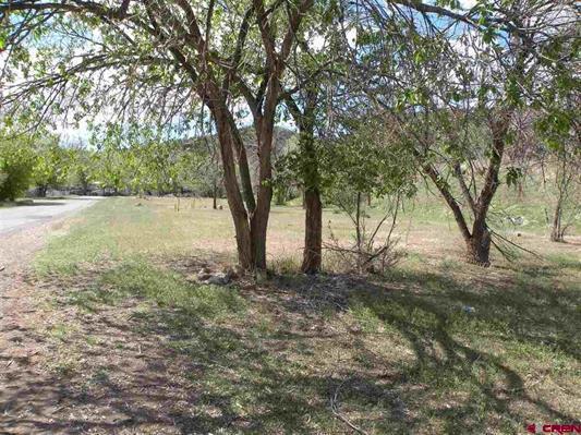 More Photos Of 401 Payson st, Naturita Land For Sale