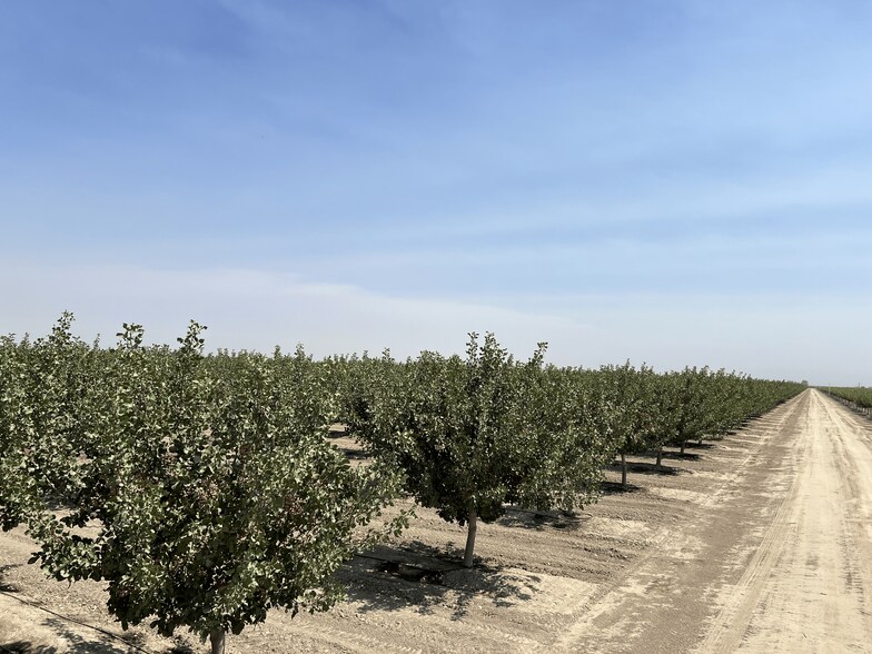 More Photos Of Idaho Ave @ 5th Avenue, Hanford Land For Sale