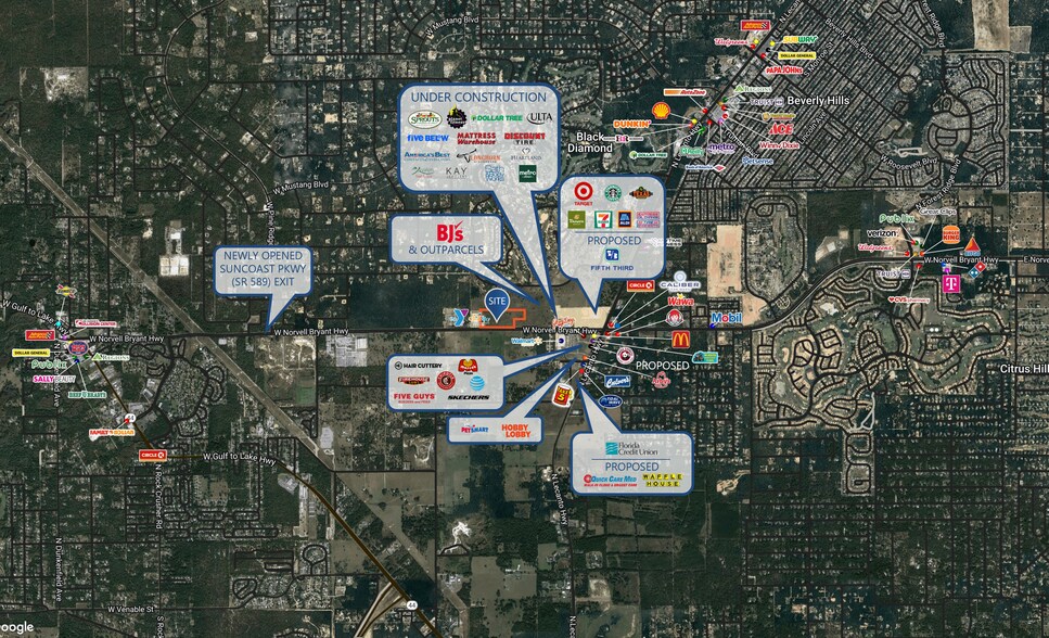 More Photos Of 0 W Norvell Bryant Hwy, Lecanto Land For Lease