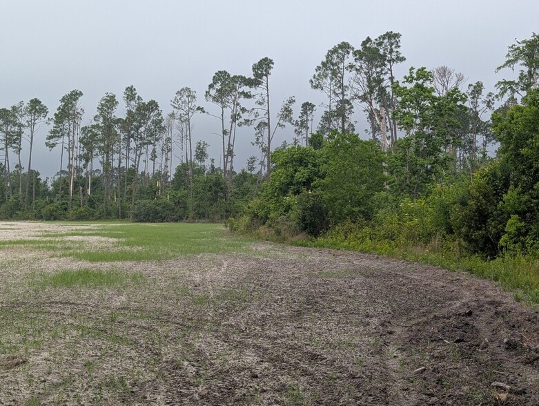 More Photos Of 4308 Hickory Grove Rd N, Valdosta Land For Sale