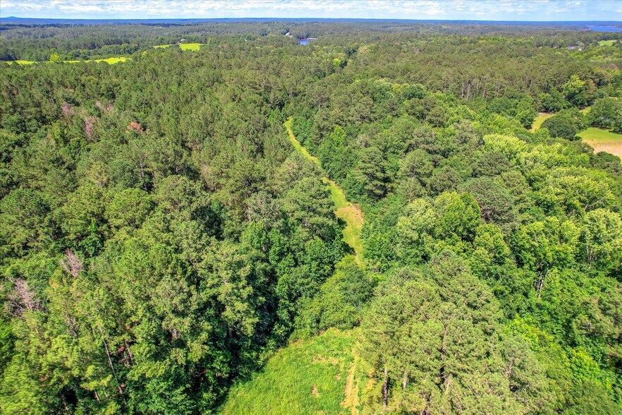 More Photos Of 0 US 378 and Ann Scott Drive hwy, Lincolnton Land For Sale