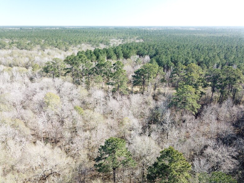 More Photos Of Corrigan Road, Vidor Land For Sale
