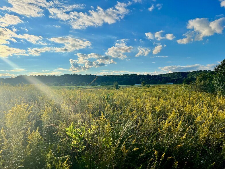 More Photos Of 16498 Graham Station Road, Letart Land For Sale